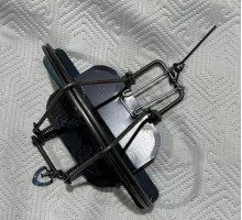 капкан для рыс и птиц