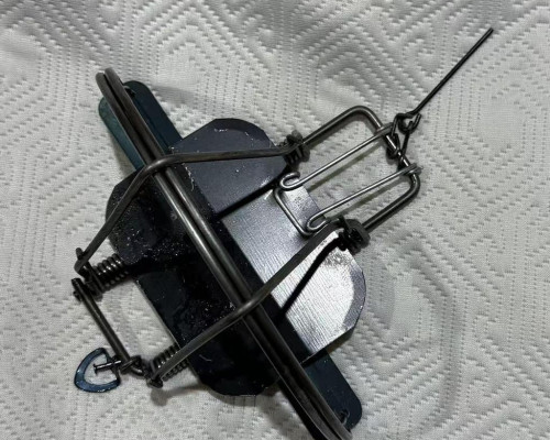 капкан для рыс и птиц